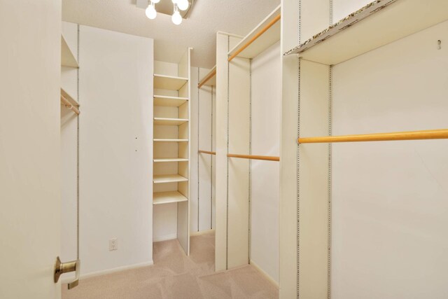 walk in closet with light colored carpet