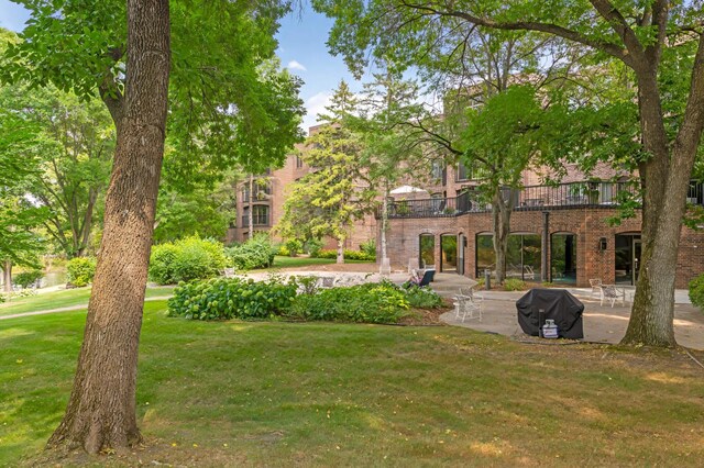 view of yard featuring a patio