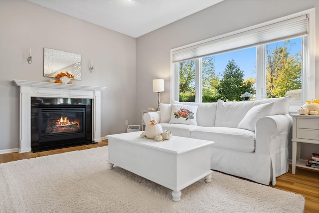 living room featuring a fireplace with flush hearth, wood finished floors, and baseboards