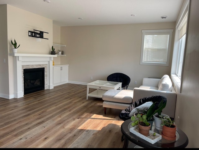 living room featuring hardwood / wood-style flooring