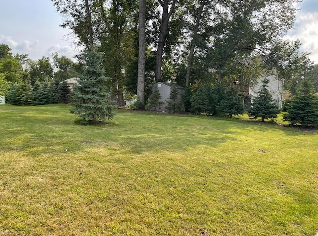 view of yard featuring a storage shed