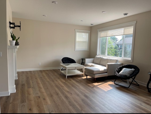 living area featuring hardwood / wood-style flooring