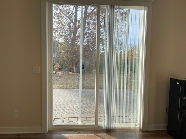 entryway featuring a healthy amount of sunlight and wood-type flooring