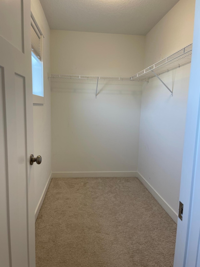 walk in closet with light colored carpet