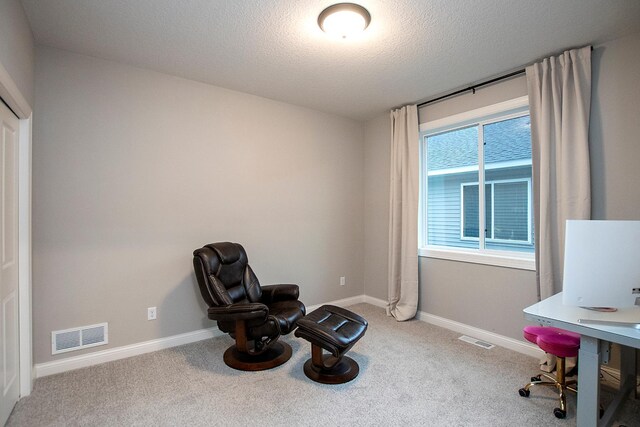 living area featuring carpet flooring and a textured ceiling