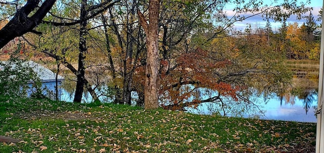 view of water feature