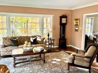 living room with crown molding