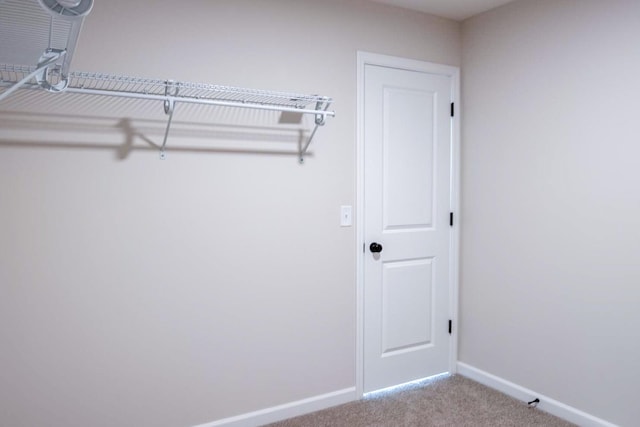 spacious closet with carpet