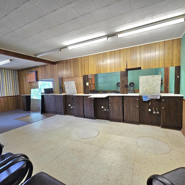 kitchen with kitchen peninsula and wooden walls