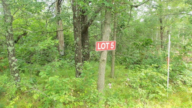 LOT5 Deerfield Rd, Chicog Twp WI, 54888 land for sale