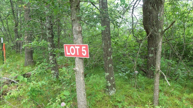 Listing photo 2 for LOT5 Deerfield Rd, Chicog Twp WI 54888