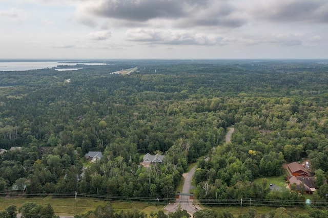 bird's eye view