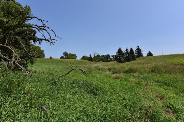 view of nature with a rural view