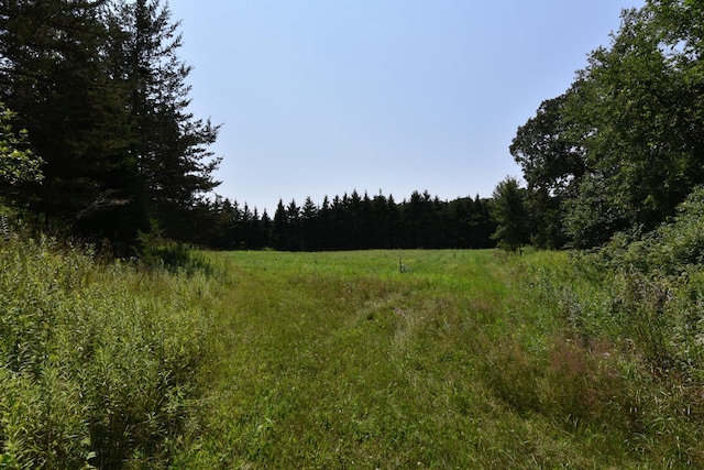 view of local wilderness with a rural view