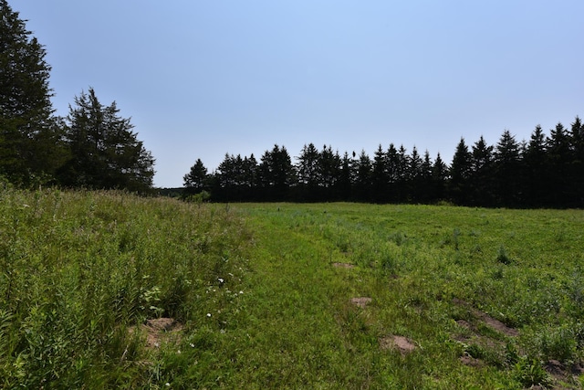 view of nature with a rural view