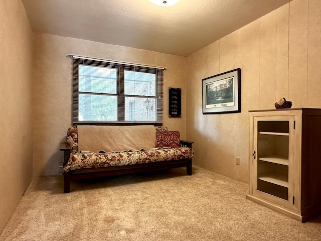 living area featuring a textured ceiling and light colored carpet