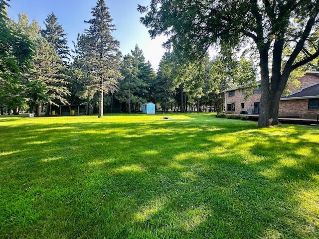 view of yard with a storage unit and an outbuilding