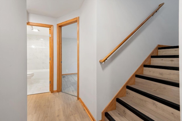 staircase featuring wood-type flooring