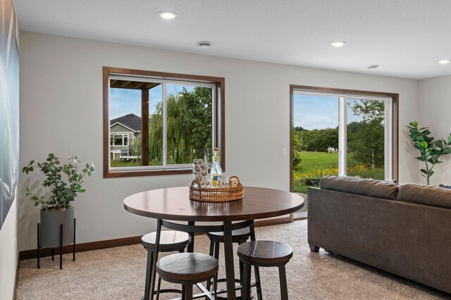 carpeted dining area with a wealth of natural light