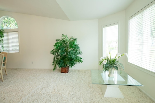 interior space featuring carpet flooring and a wealth of natural light