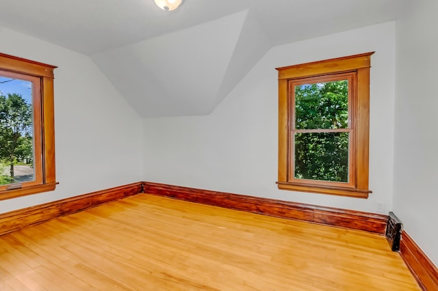 additional living space with wood-type flooring, vaulted ceiling, and plenty of natural light