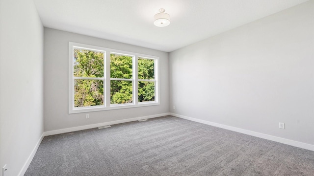 unfurnished room with carpet flooring