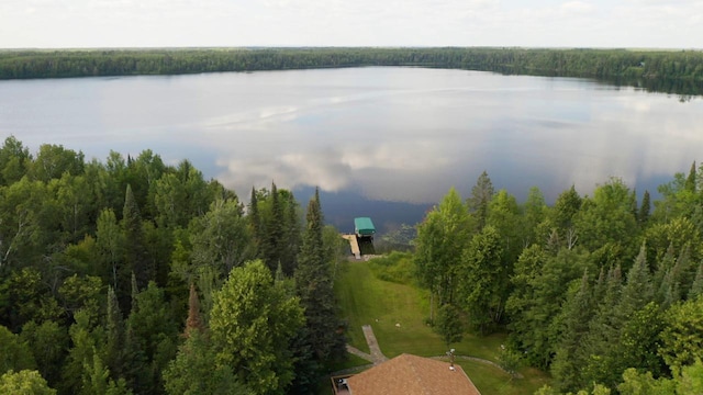 birds eye view of property with a water view and a forest view