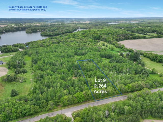 Listing photo 3 for LOT9 26th St, Chetek WI 54728