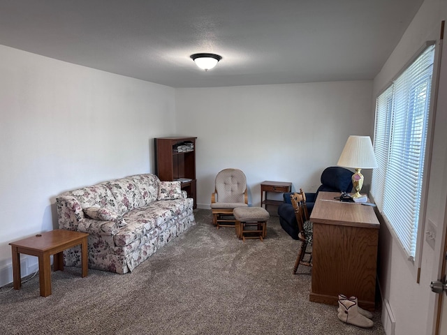 interior space featuring plenty of natural light and carpet flooring