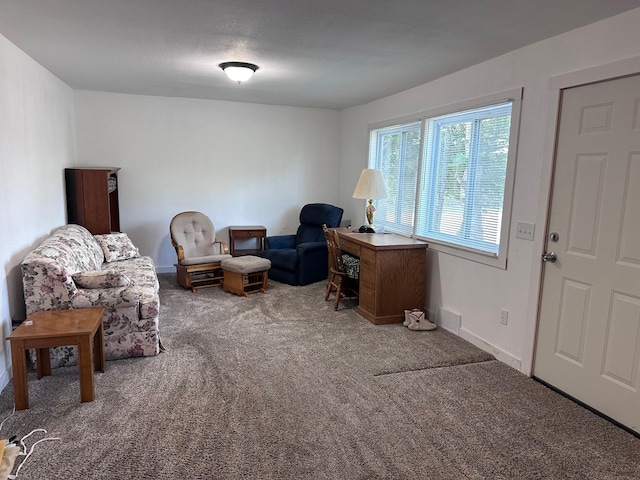 sitting room featuring carpet flooring