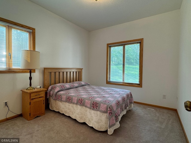 carpeted bedroom with multiple windows