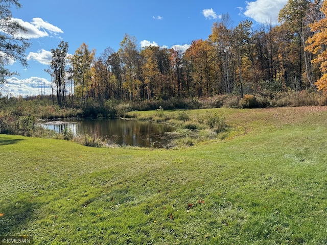 view of yard with a water view