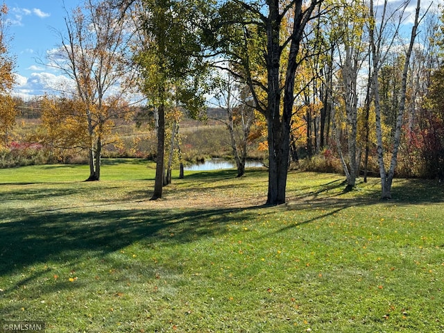 view of yard with a water view