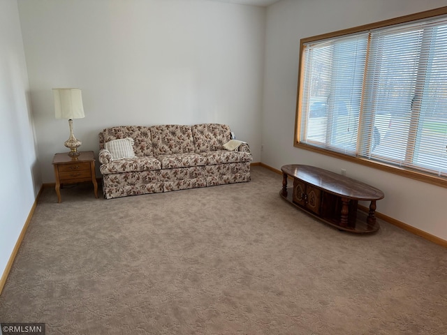 interior space with carpet flooring