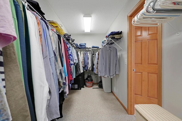 walk in closet with carpet flooring