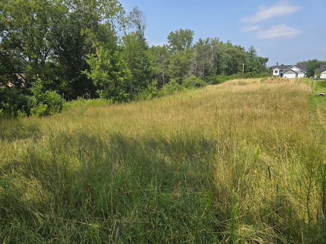 view of local wilderness