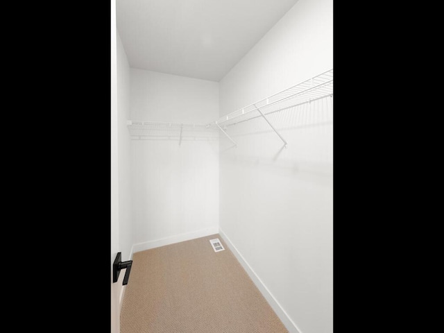 spacious closet with carpet flooring