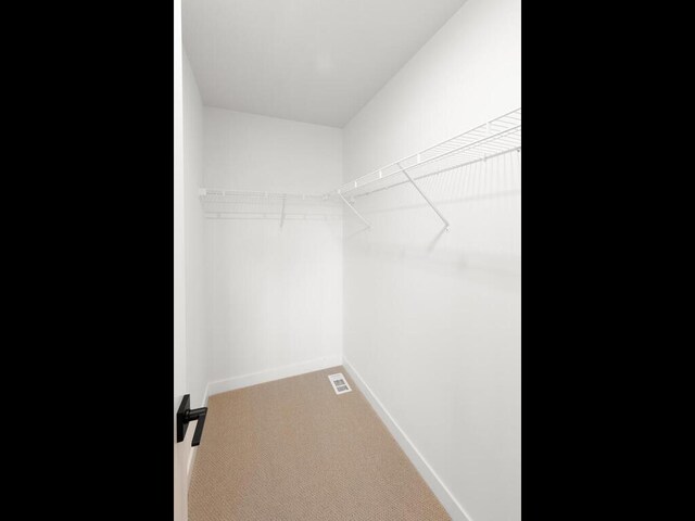 walk in closet with light colored carpet