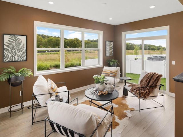 interior space featuring light hardwood / wood-style floors and a healthy amount of sunlight