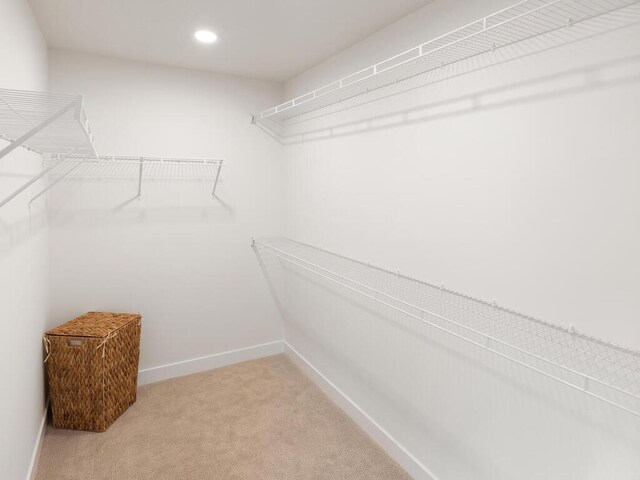 walk in closet featuring light colored carpet