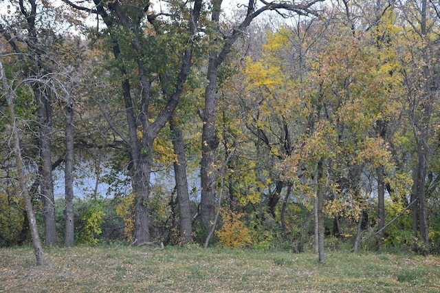 view of landscape