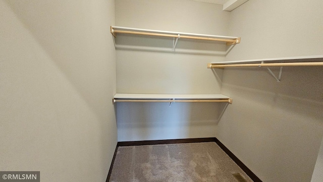 spacious closet with carpet floors