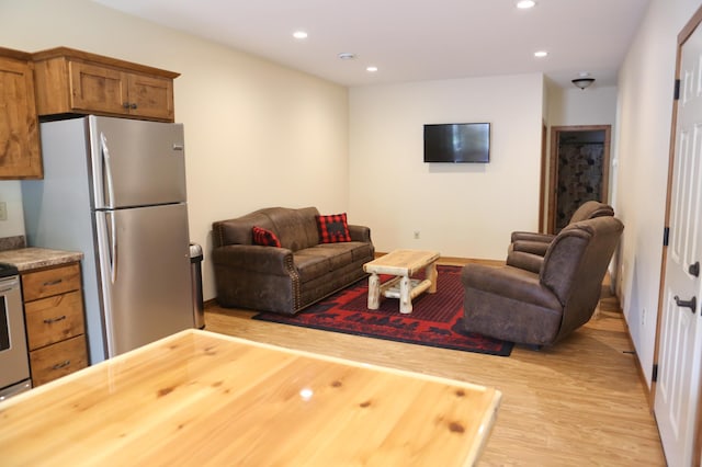 living room with light hardwood / wood-style flooring