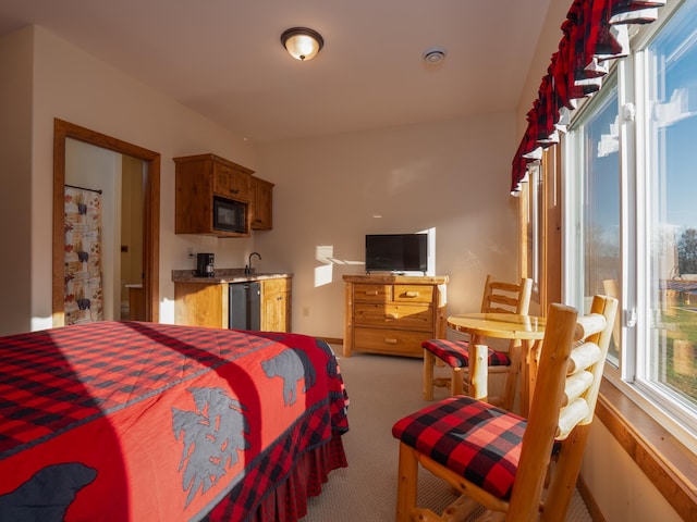 30424 410th St Unit 4 Cic # 98, Dent, MN 56528 - bedroom with light colored carpet and bar