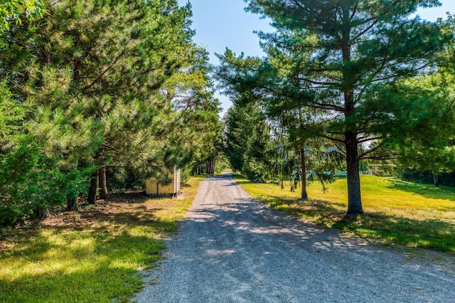 view of road