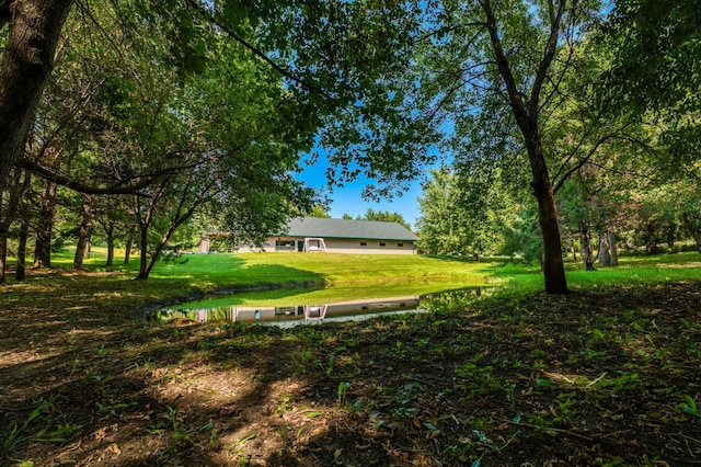 view of community with a lawn