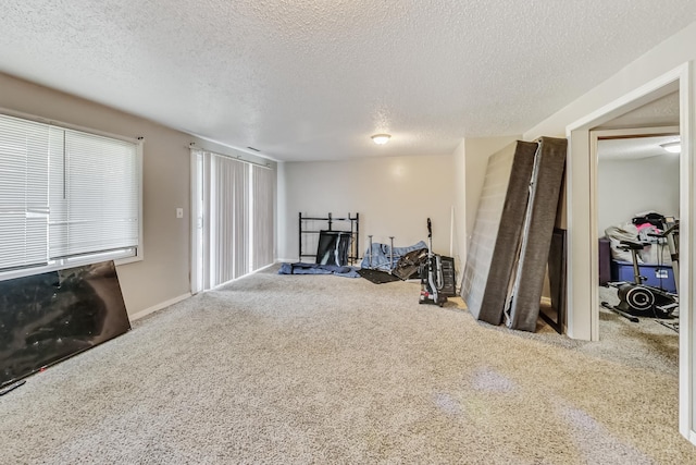 exercise room featuring a textured ceiling and carpet