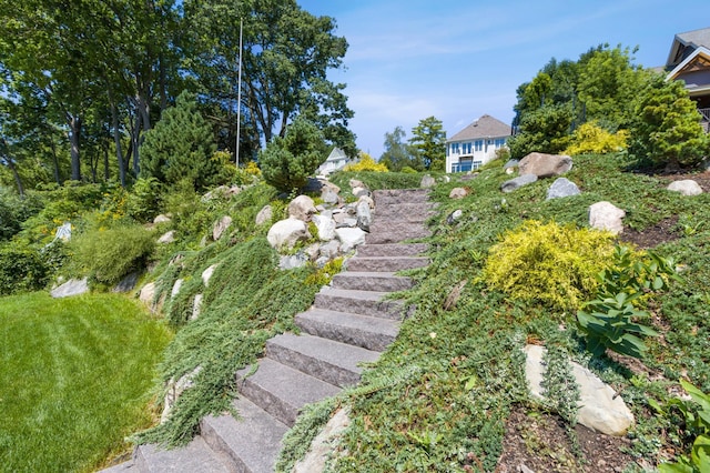 view of yard featuring stairs