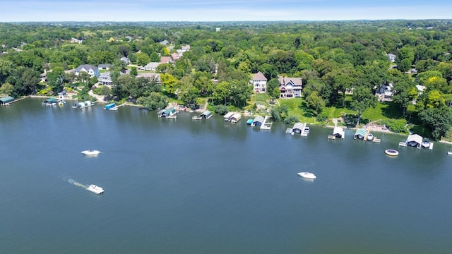 aerial view with a water view and a view of trees