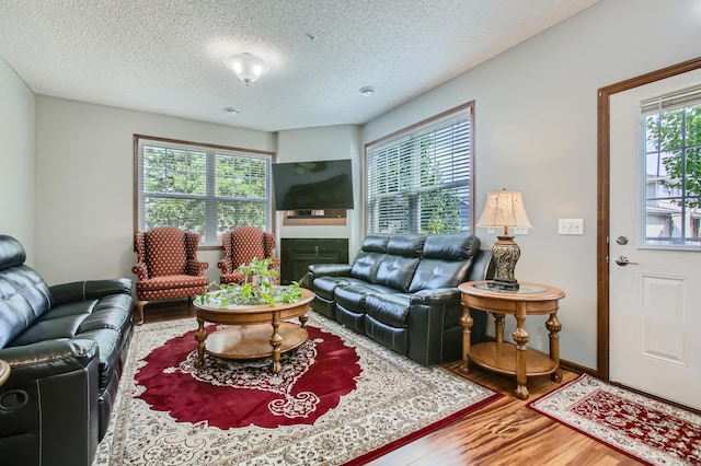 living room with a textured ceiling, plenty of natural light, and wood finished floors